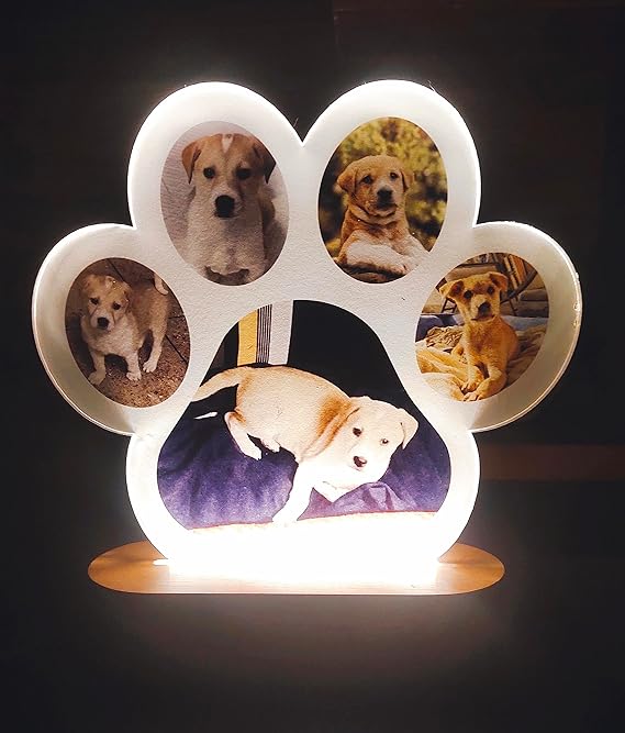 Paw Shaped Photo Frame with LED Lamp | Unique Gift for Pet Lovers, Dog lovers, Birthday Gift, Return Gift | Night Light | Home Decoration | Table Lamp (Warm White) | DropShip